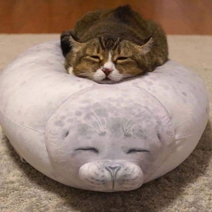 Chubby Seal 3D™ - Your Emotional Support Pillow