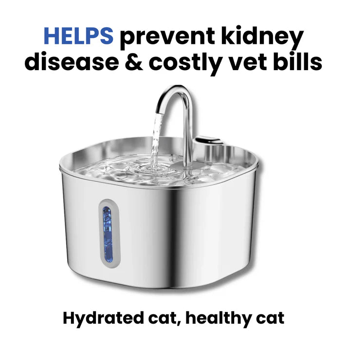 Keep your cat hydrated and calm urinary flare-ups with Savanti™