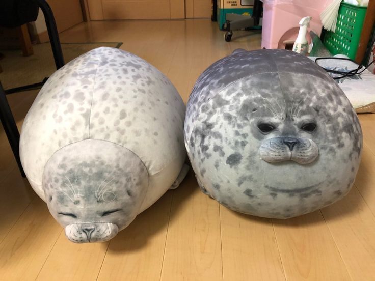 Chubby Seal 3D™ - Your Emotional Support Pillow