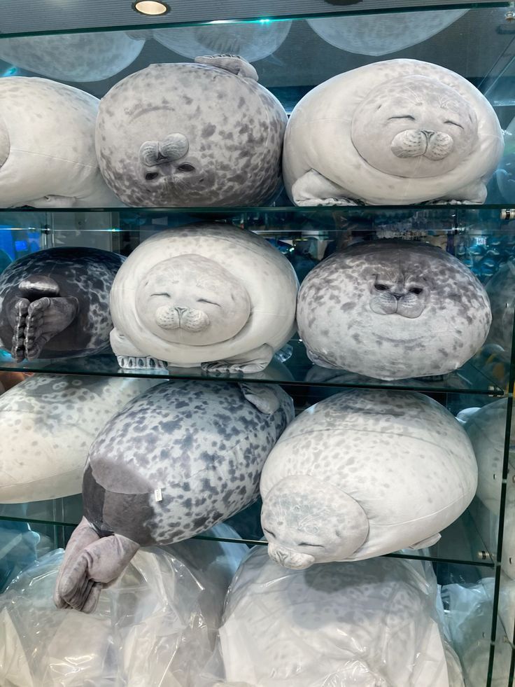 Chubby Seal 3D™ - Your Emotional Support Pillow