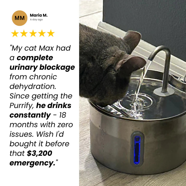 Keep your cat hydrated and calm urinary flare-ups with Savanti™