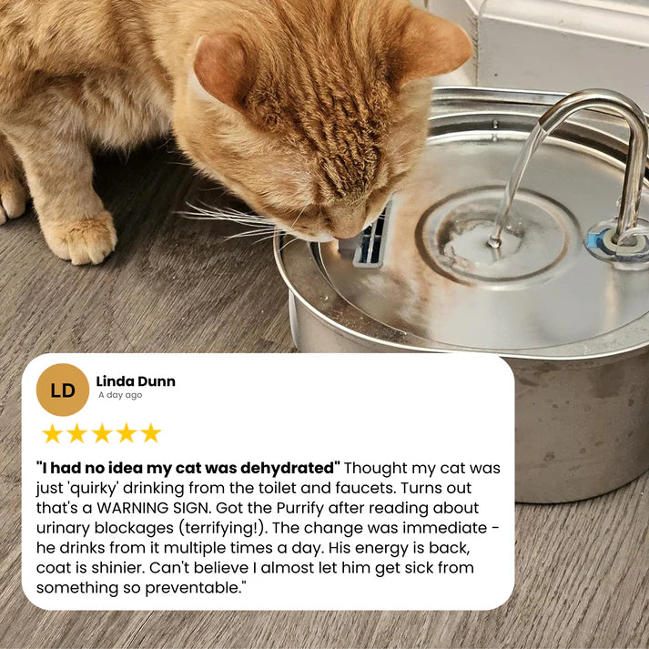 Keep your cat hydrated and calm urinary flare-ups with Savanti™