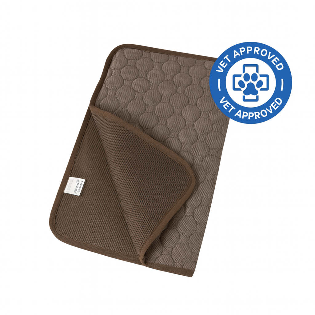 Protect Your Feline From Hidden Heat Dangers With Savanti™ Cooling Mat