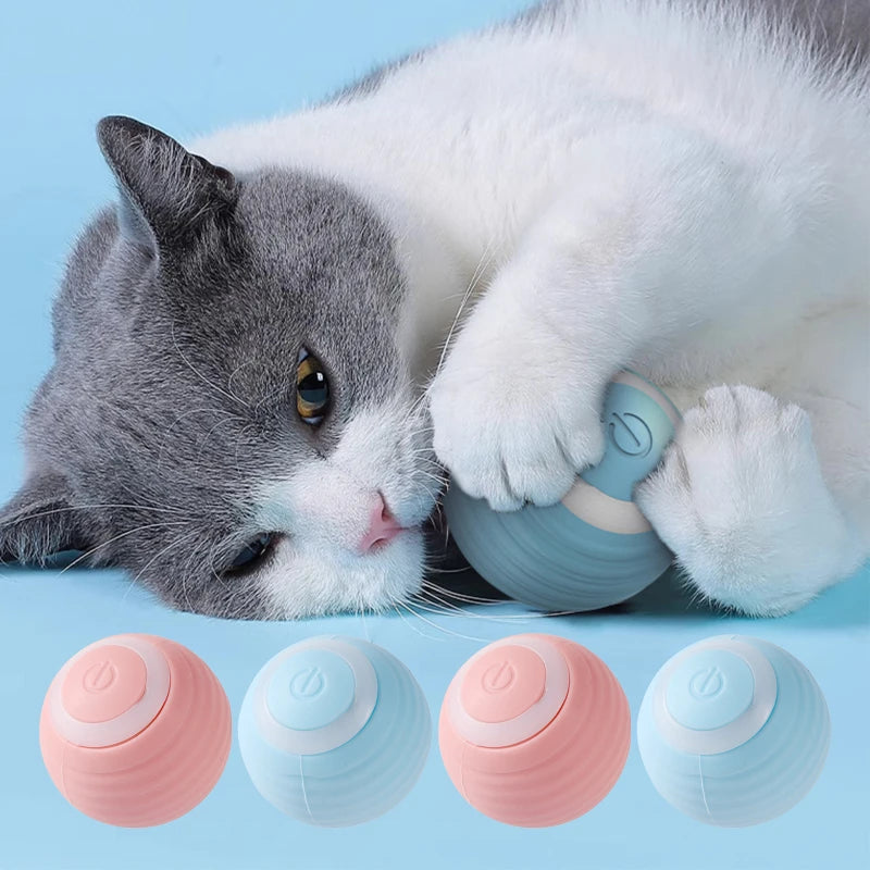 Savanti™ AI Cat Ball
