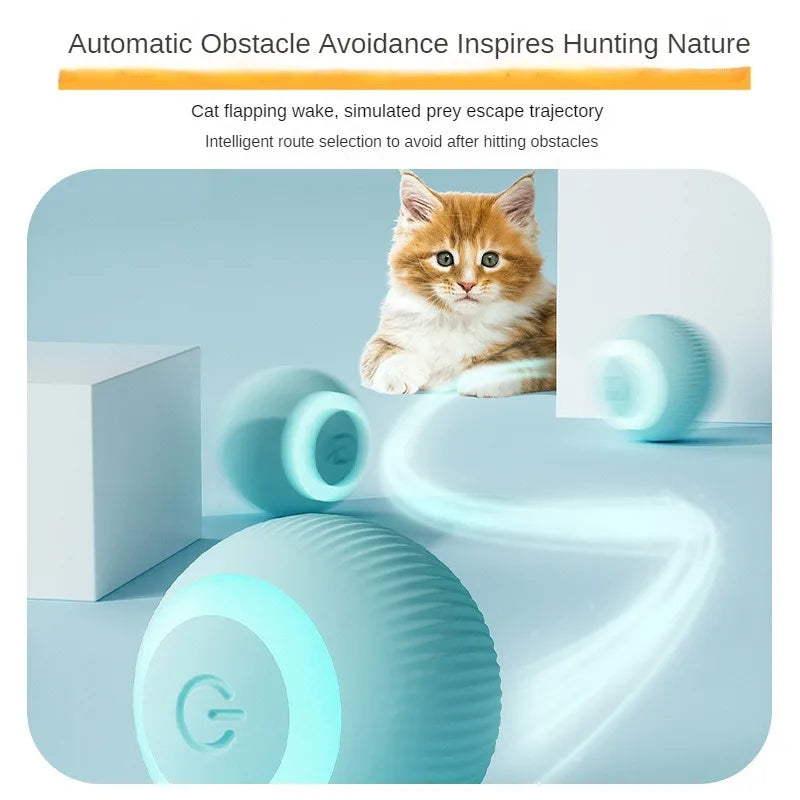Savanti™ AI Cat Ball