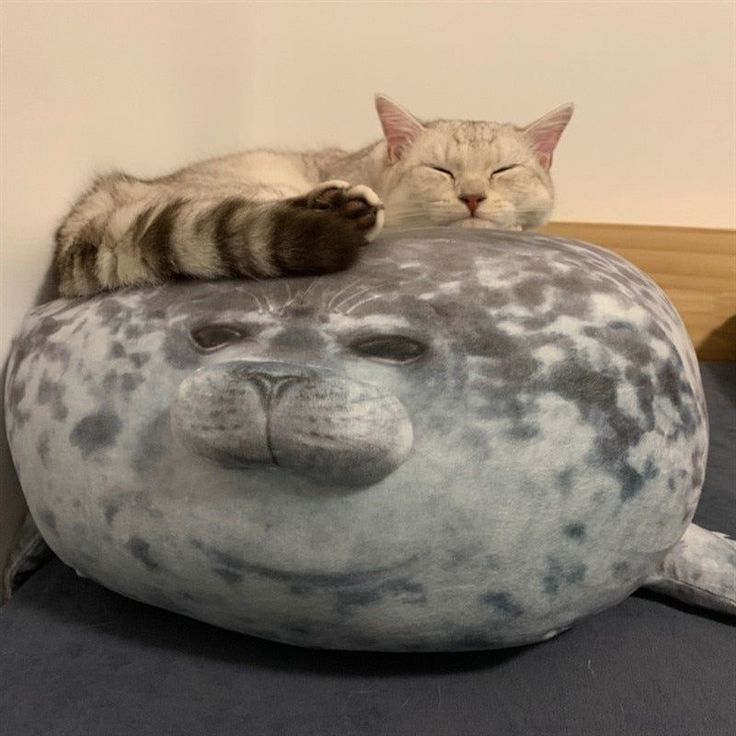 Chubby Seal 3D™ - Your Emotional Support Pillow
