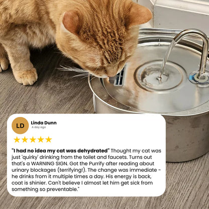 Keep your cat hydrated and calm urinary flare-ups with Savanti™